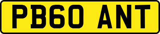 PB60ANT