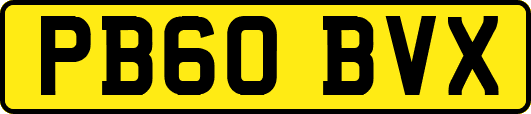 PB60BVX