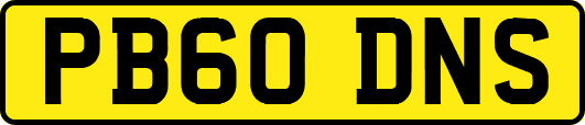 PB60DNS