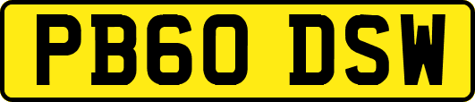 PB60DSW