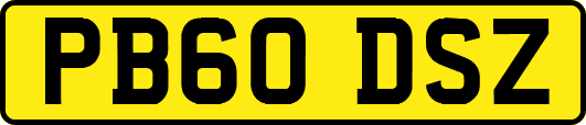 PB60DSZ