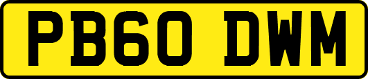 PB60DWM