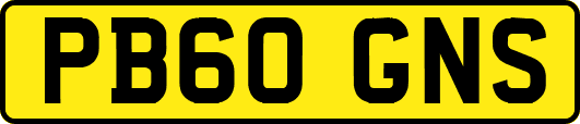 PB60GNS