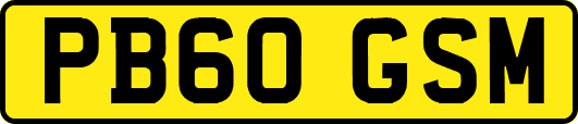PB60GSM