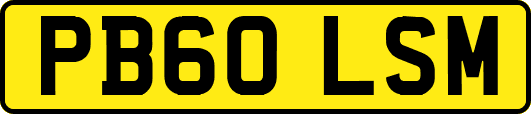 PB60LSM