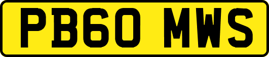 PB60MWS