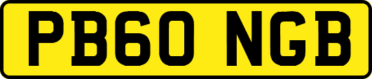 PB60NGB