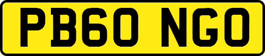 PB60NGO