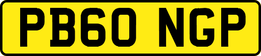 PB60NGP