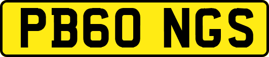 PB60NGS