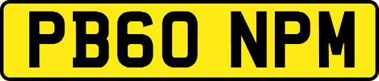 PB60NPM