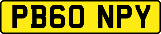 PB60NPY