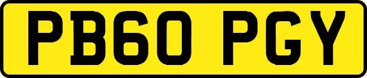 PB60PGY