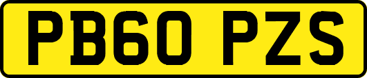 PB60PZS