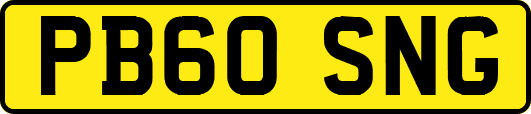 PB60SNG