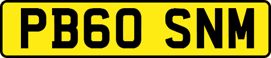 PB60SNM