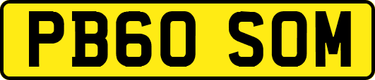 PB60SOM