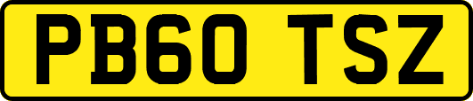 PB60TSZ