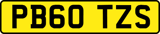 PB60TZS