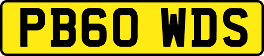 PB60WDS