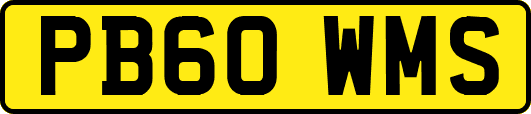 PB60WMS