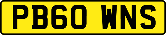 PB60WNS