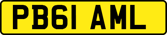 PB61AML
