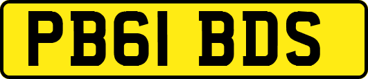 PB61BDS