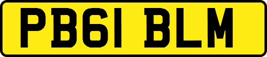 PB61BLM