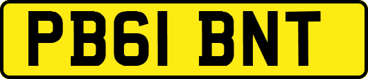 PB61BNT