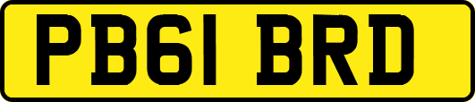 PB61BRD