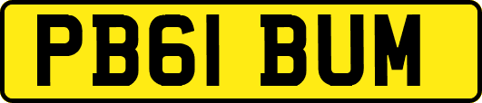 PB61BUM