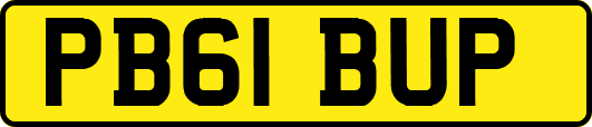 PB61BUP