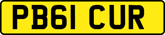 PB61CUR