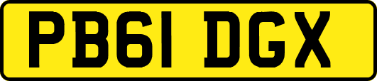 PB61DGX