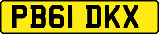 PB61DKX