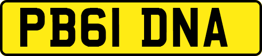 PB61DNA
