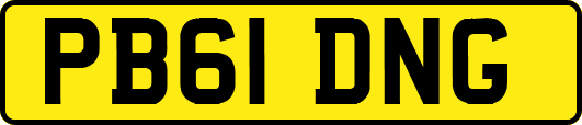 PB61DNG