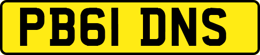 PB61DNS