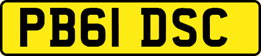 PB61DSC