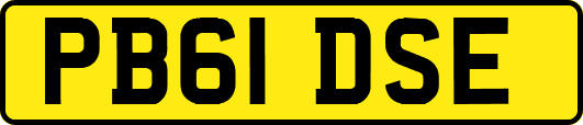 PB61DSE