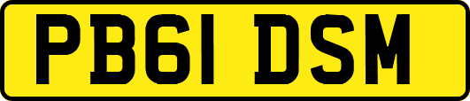 PB61DSM