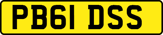 PB61DSS