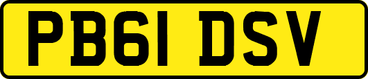 PB61DSV