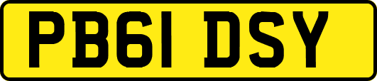 PB61DSY
