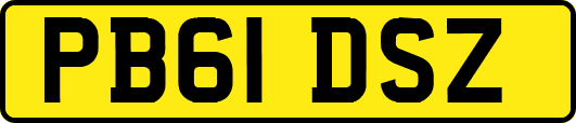 PB61DSZ