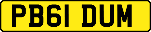 PB61DUM