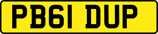 PB61DUP