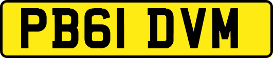 PB61DVM