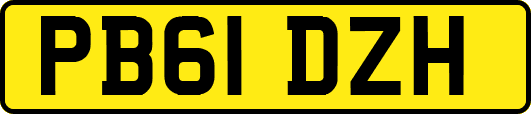 PB61DZH